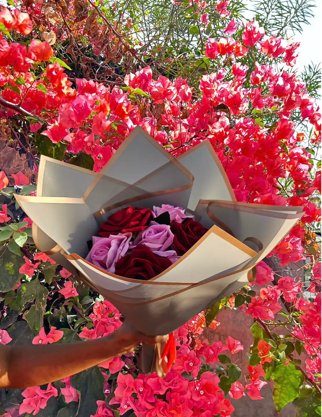 Photoroom_20240323_121124