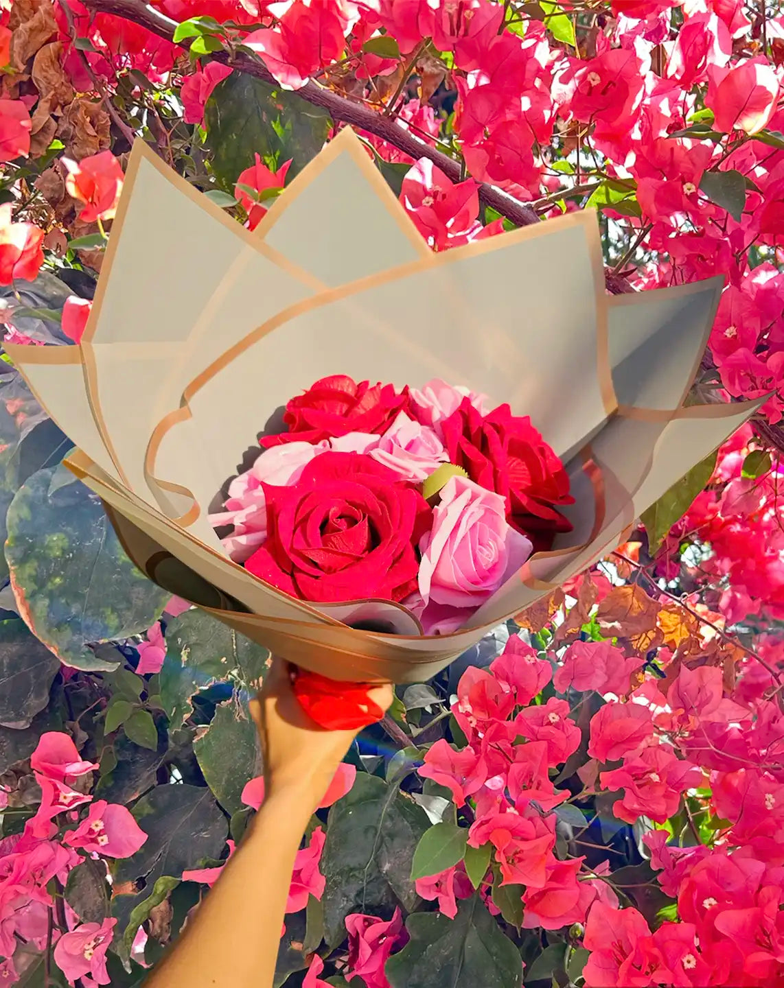 Photoroom_20240323_121447