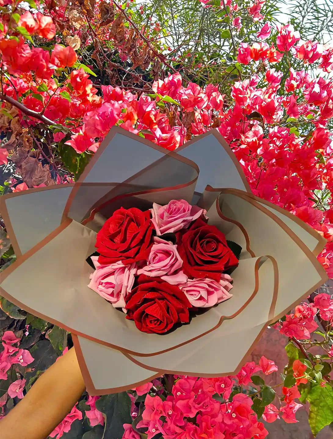 Photoroom_20240323_121713