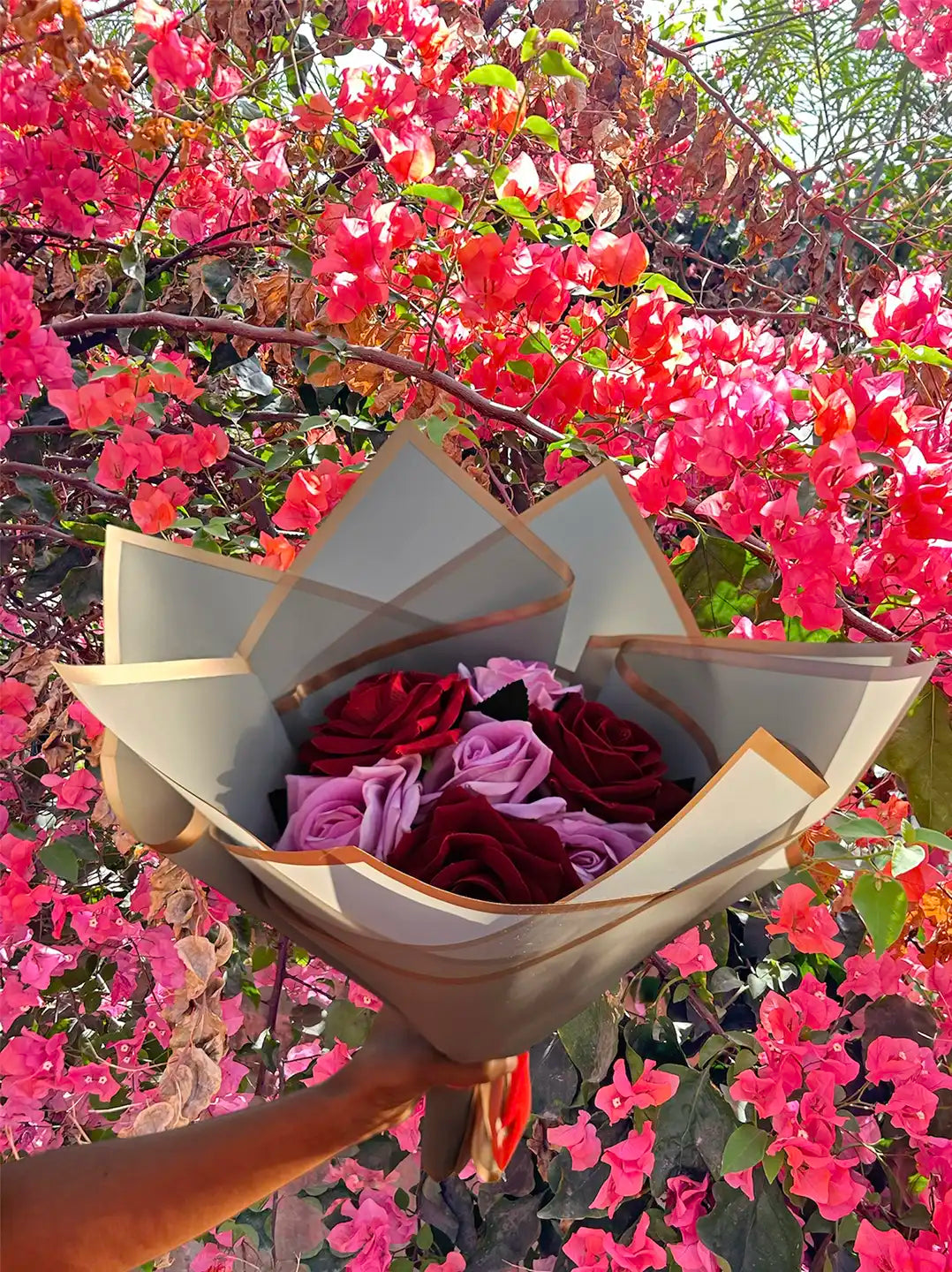 Photoroom_20240323_121929