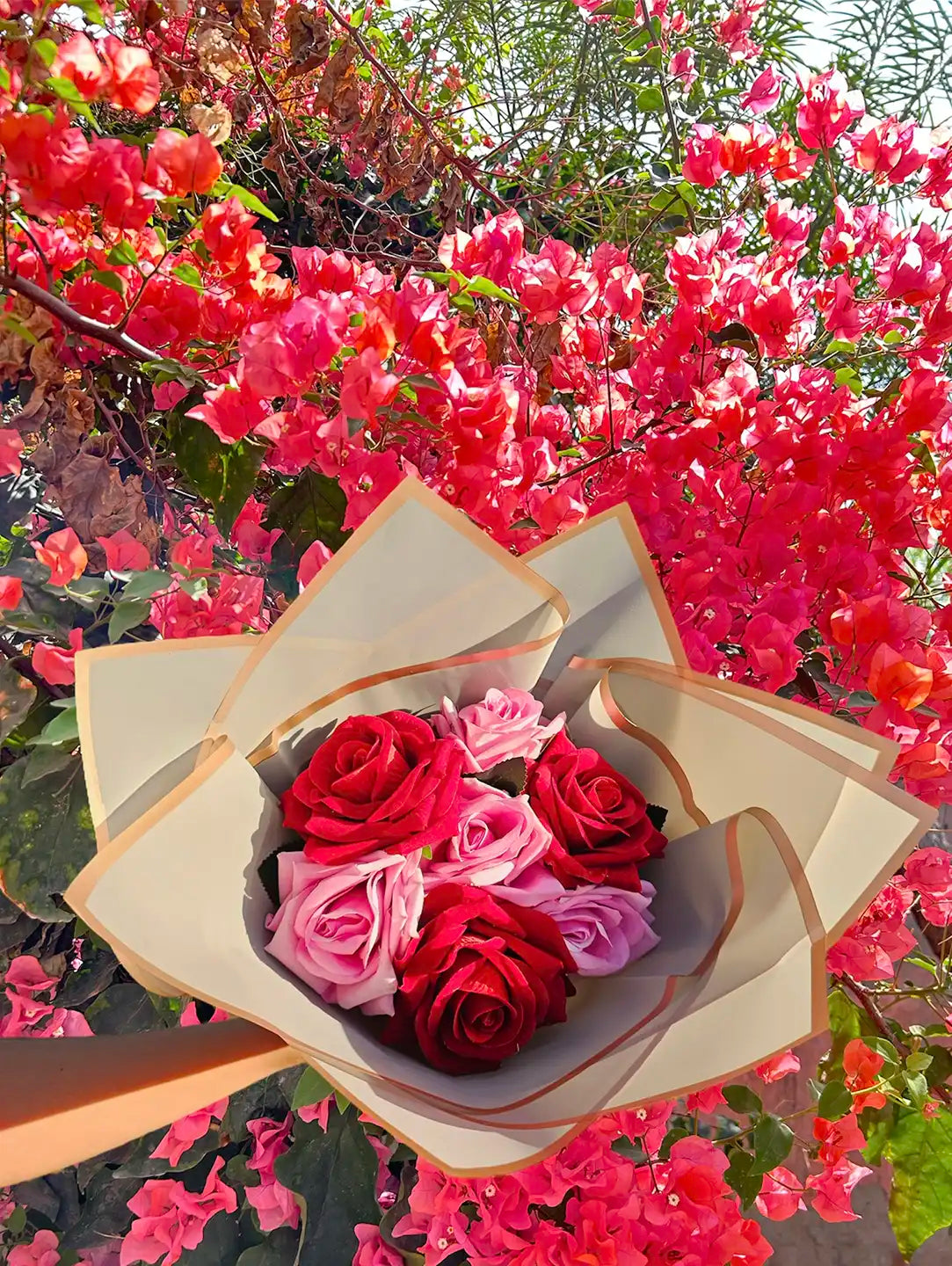 Photoroom_20240323_122323