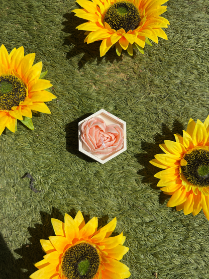 Rose Blossom Hexa Scented Candle – Elegant Floral Aroma